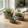 Plantekurve i flet