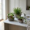 Plantekurve i flet